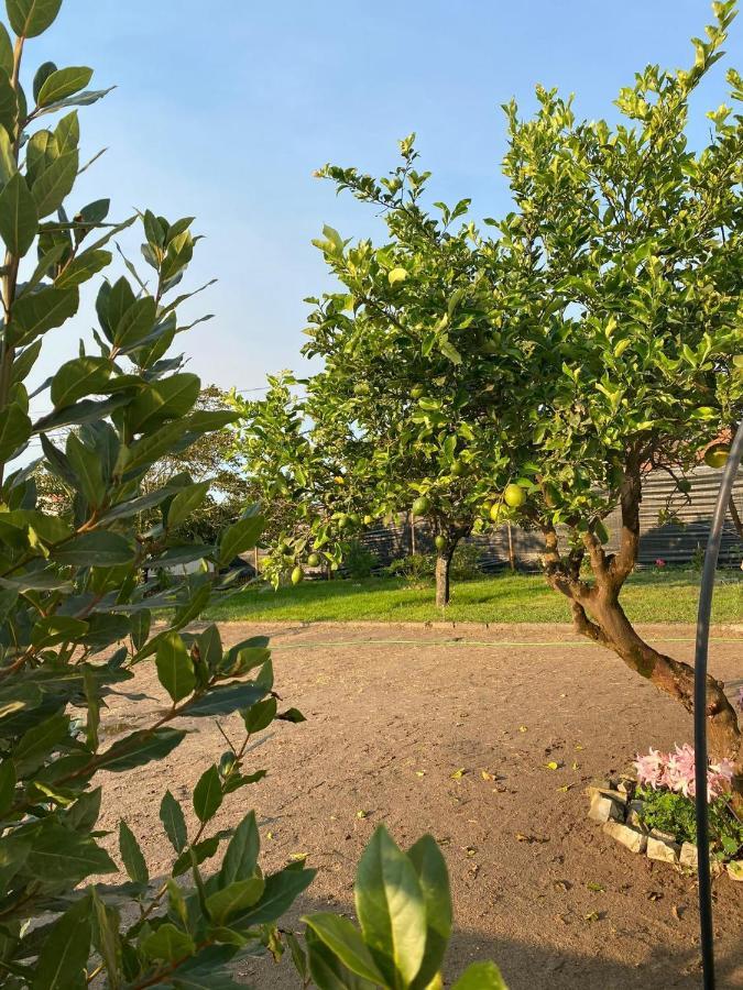 Moita Cottage Ngoại thất bức ảnh