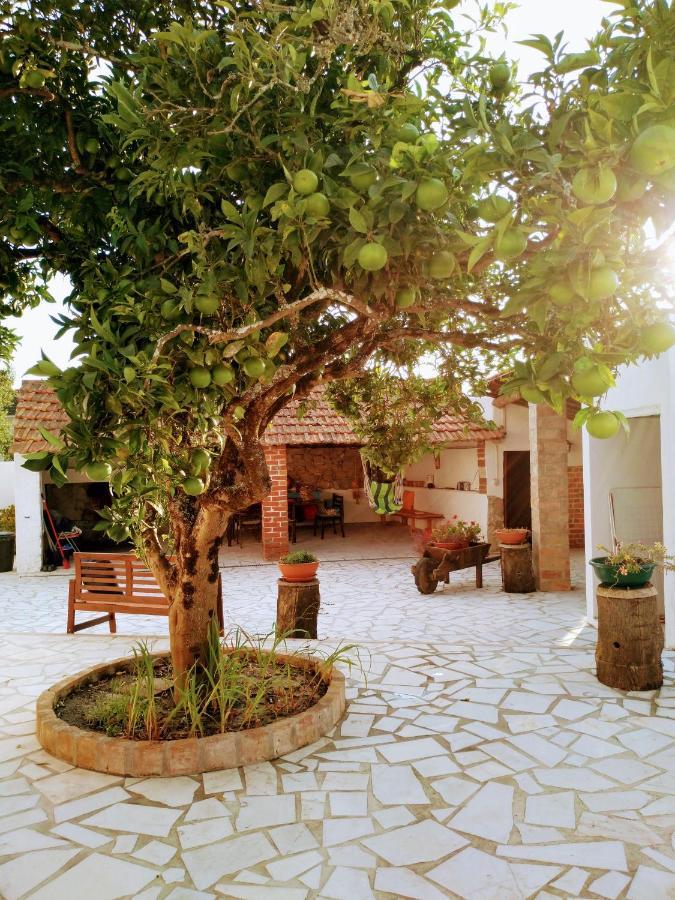 Moita Cottage Ngoại thất bức ảnh